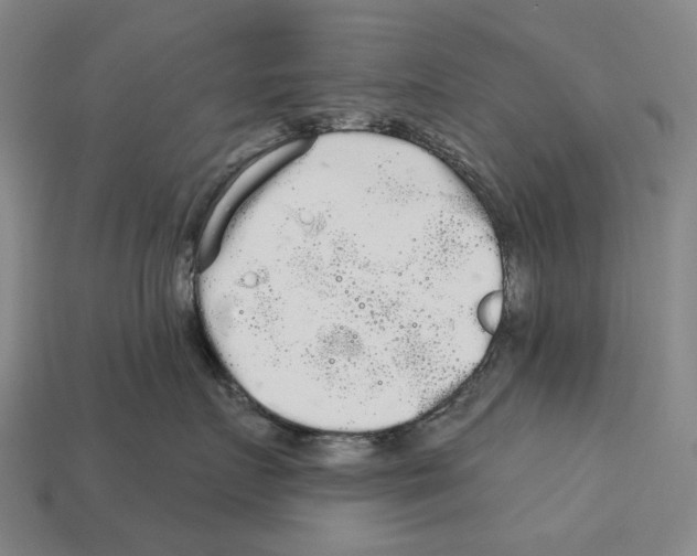 X0000113080719200909250949