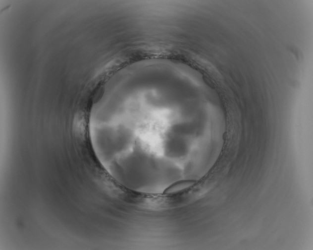 X0000113080720200909250949