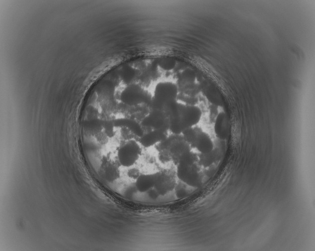 X0000113080721200909250949