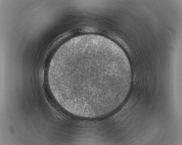 X0000113080722200909250949