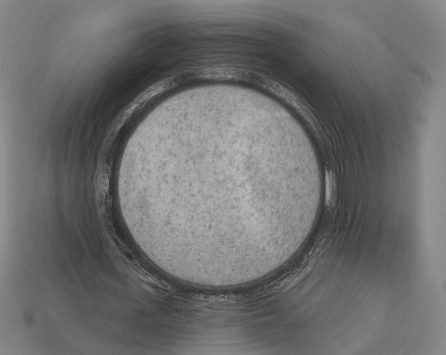 X0000113080723200909250949