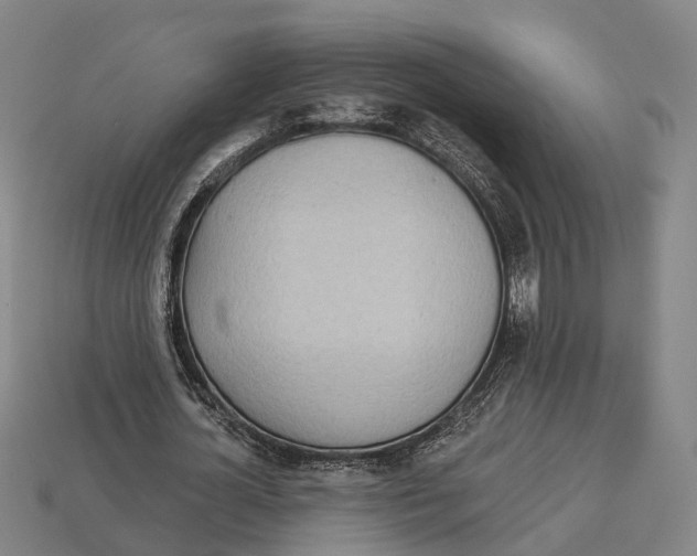 X0000113080724200909250949
