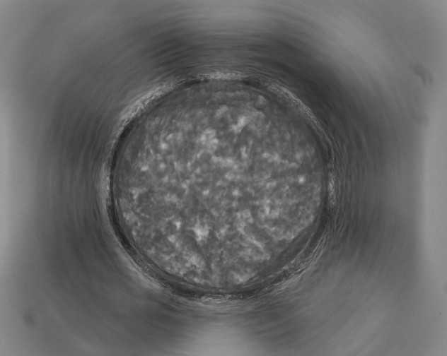 X0000113080725200909250949