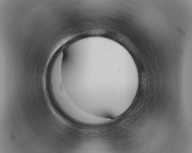 X0000113080726200909250949