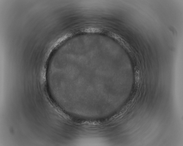 X0000113080727200909250949