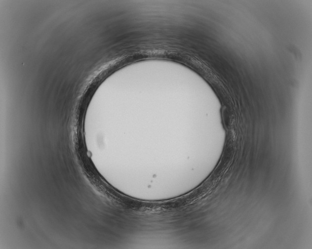 X0000113080728200909250949