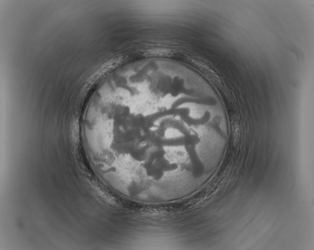 X0000113080729200909250949