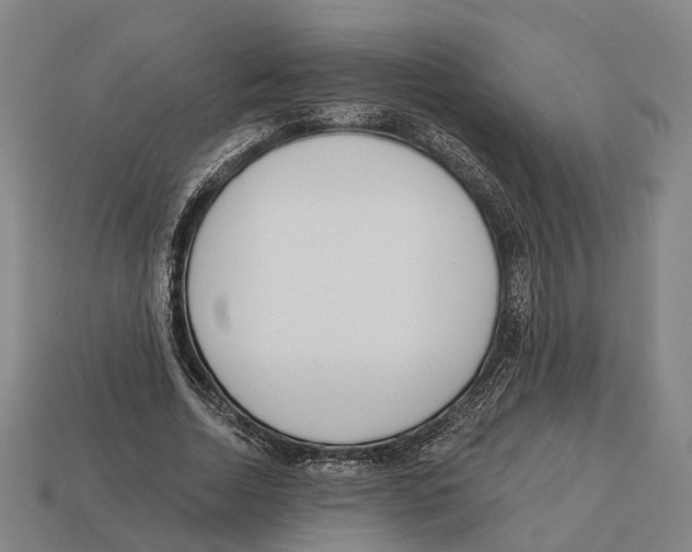 X0000113080730200909250949
