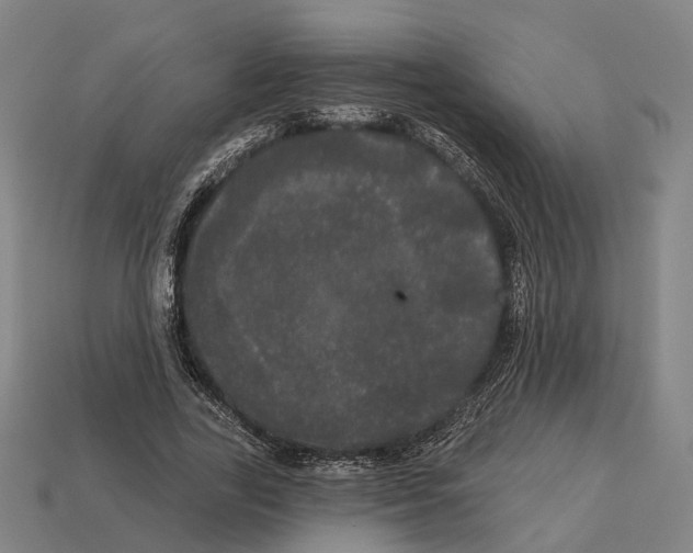 X0000113080731200909250949