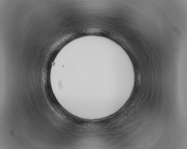 X0000113080732200909250949