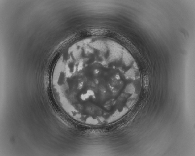 X0000113080733200909250949