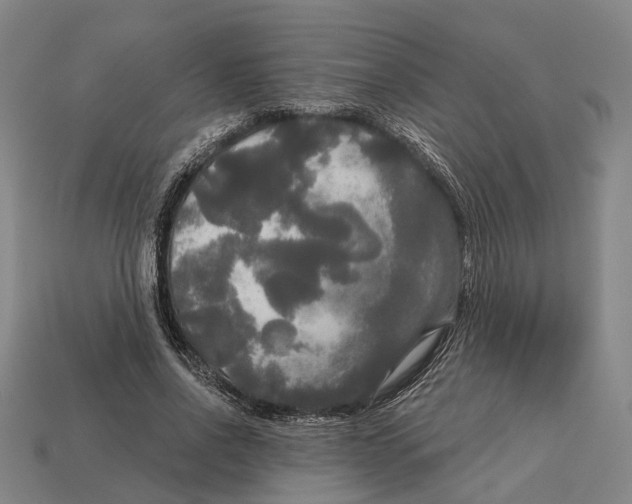 X0000113080734200909250949