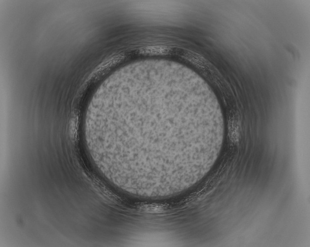 X0000113080735200909250949