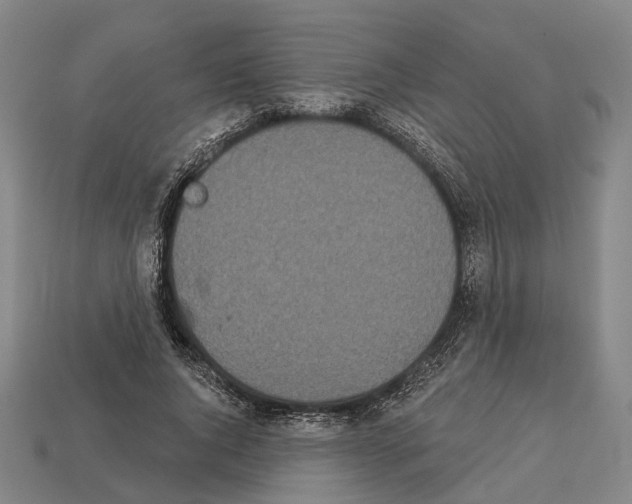 X0000113080736200909250949
