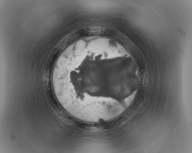 X0000113080737200909250949