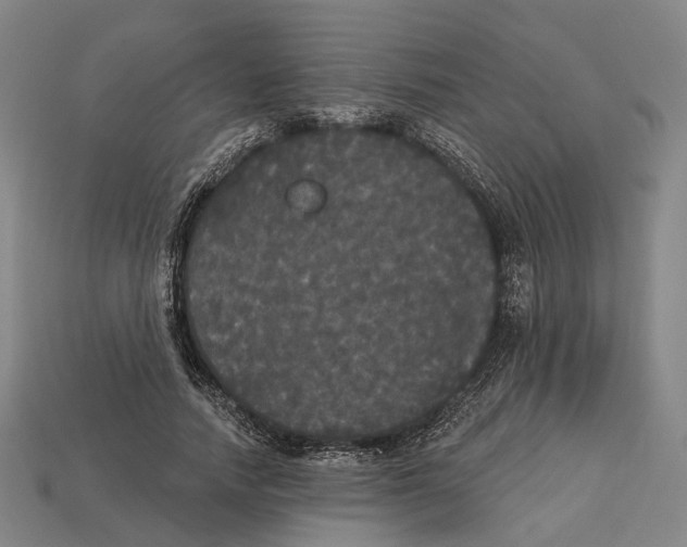 X0000113080738200909250949