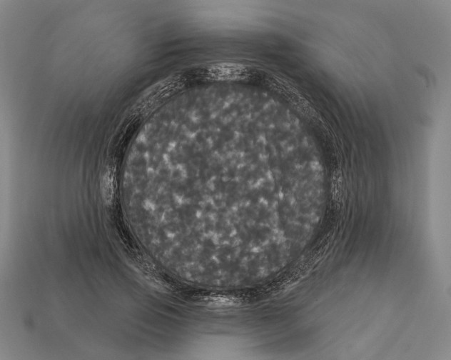 X0000113080741200909250949