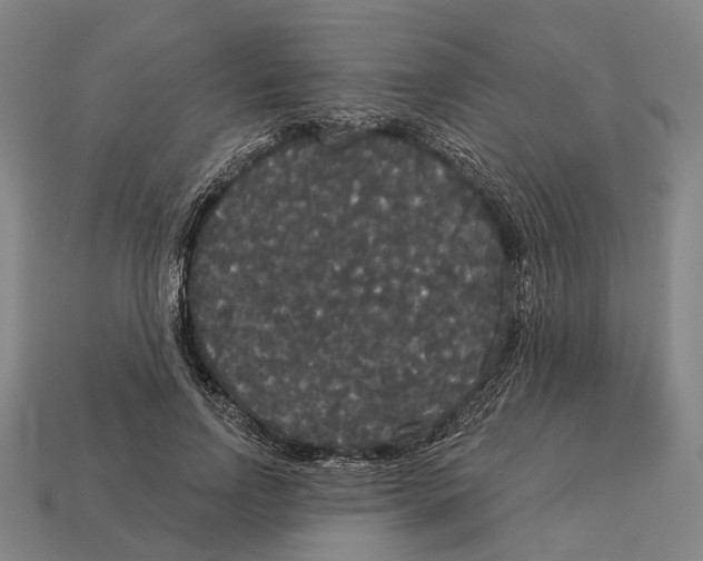 X0000113080742200909250949