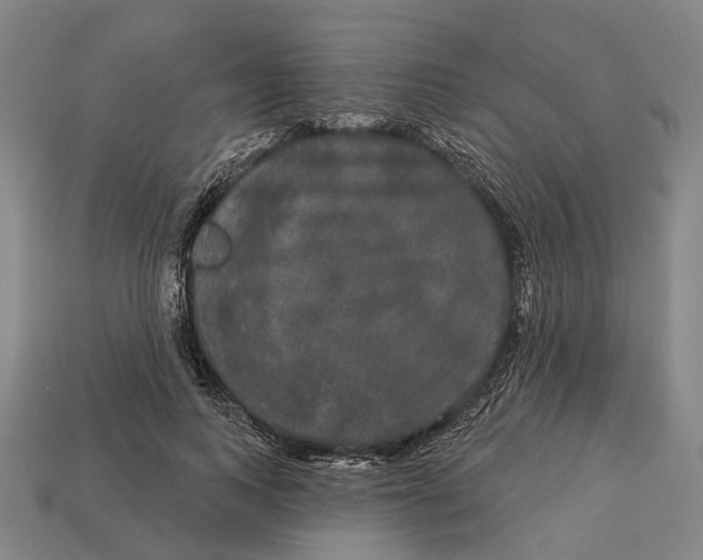 X0000113080743200909250949