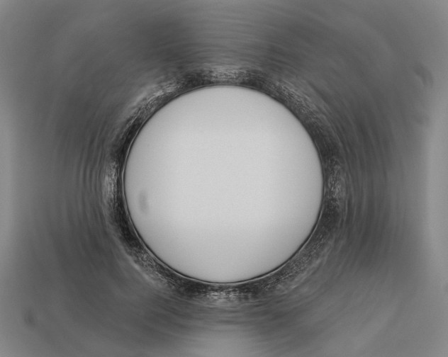 X0000113080744200909250949