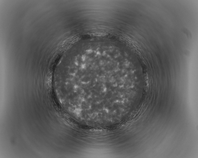 X0000113080745200909250949