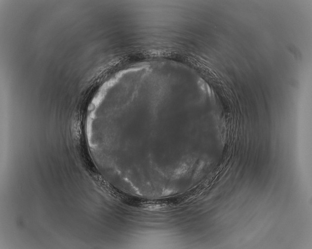 X0000113080746200909250949