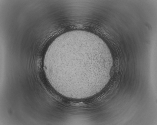 X0000113080747200909250949