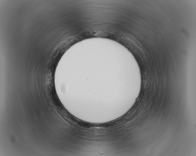 X0000113080748200909250949