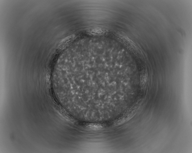 X0000113080749200909250949