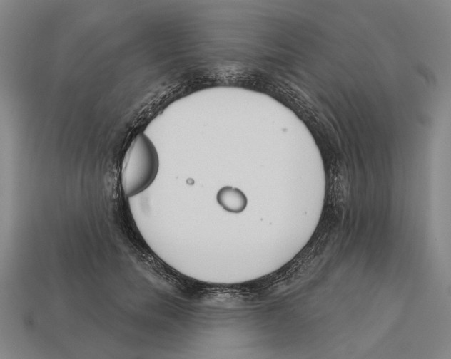 X0000113080750200909250949