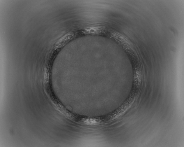 X0000113080751200909250949
