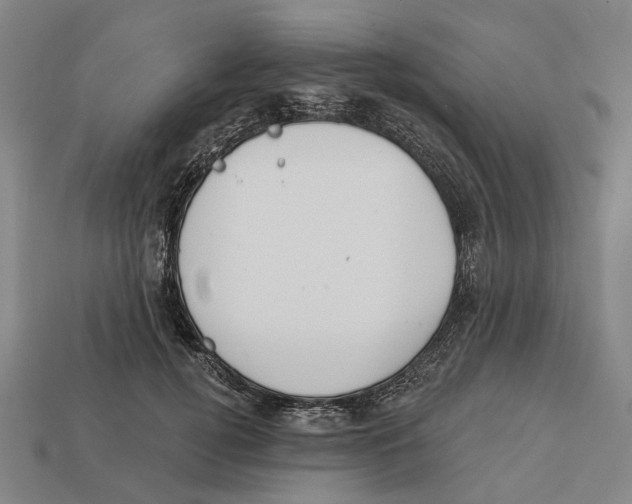 X0000113080752200909250949