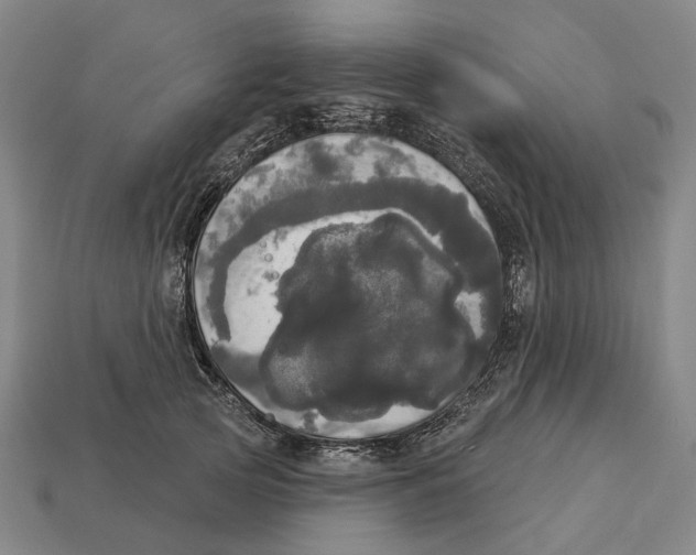 X0000113080753200909250949