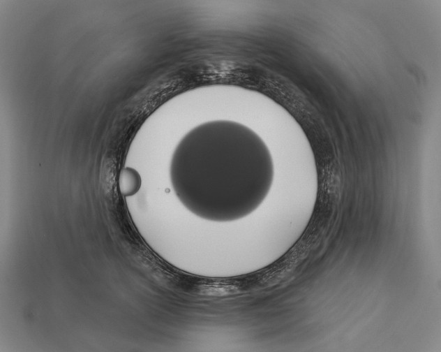 X0000113080754200909250949