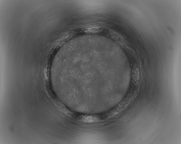 X0000113080755200909250949