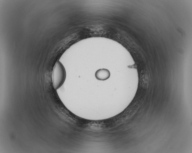 X0000113080756200909250949