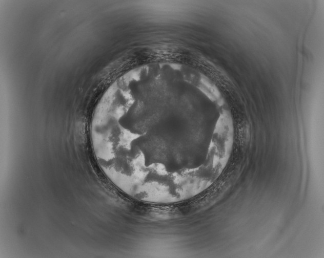 X0000113080757200909250949