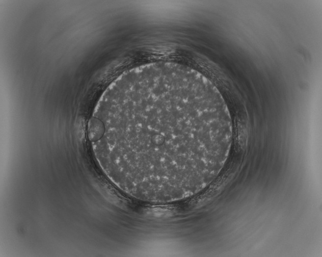 X0000113080758200909250949