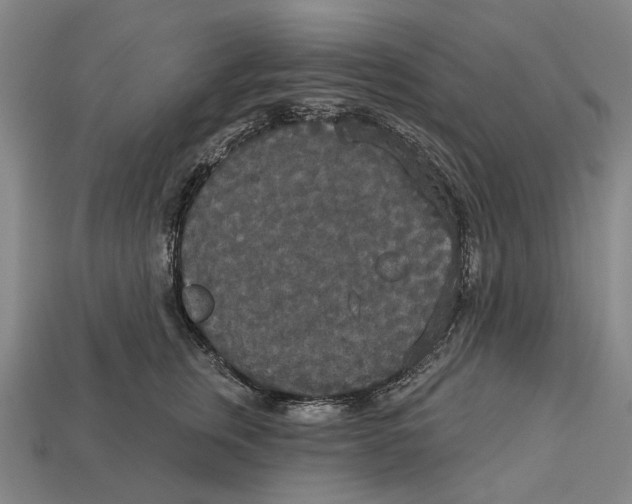 X0000113080759200909250949