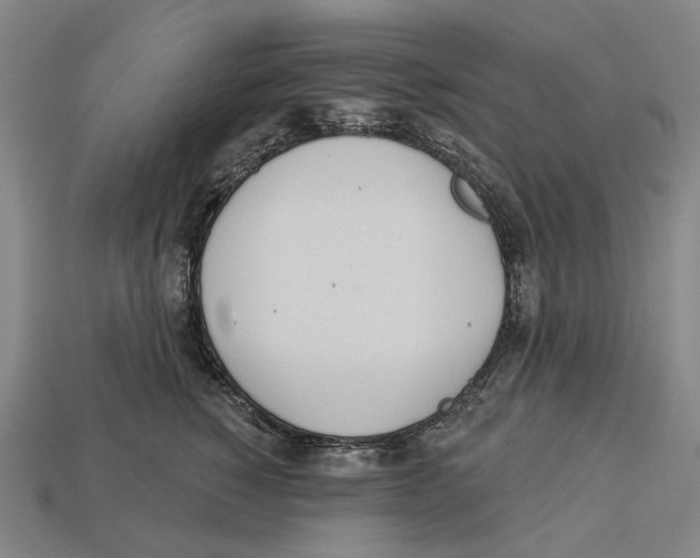 X0000113080760200909250949