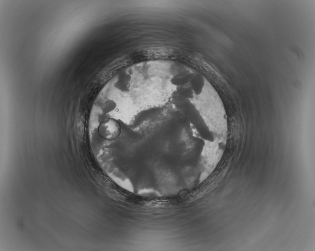 X0000113080761200909250949