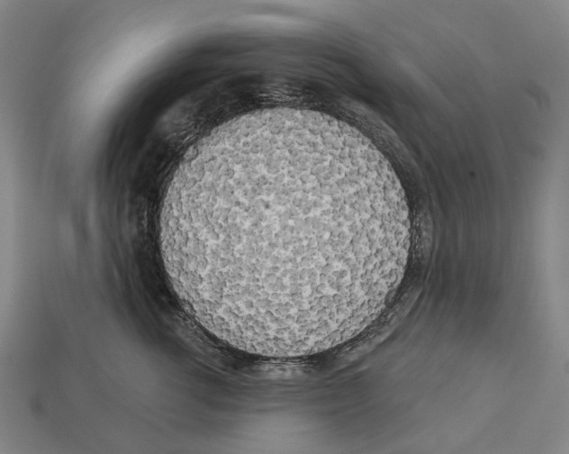 X0000113080762200909250949