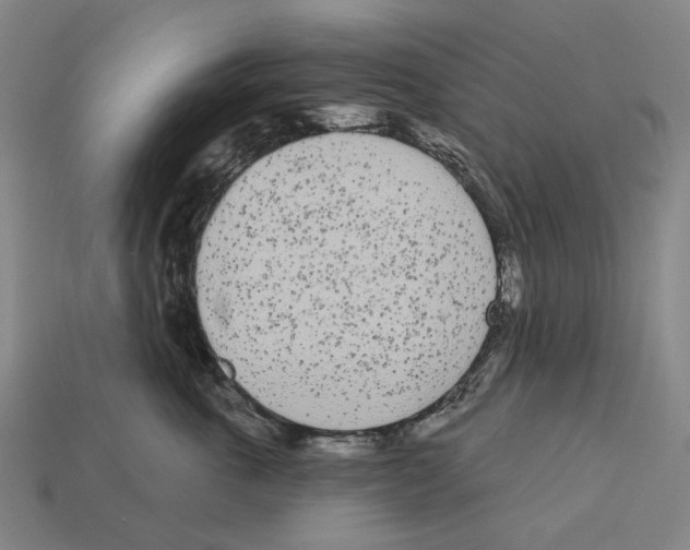 X0000113080763200909250949