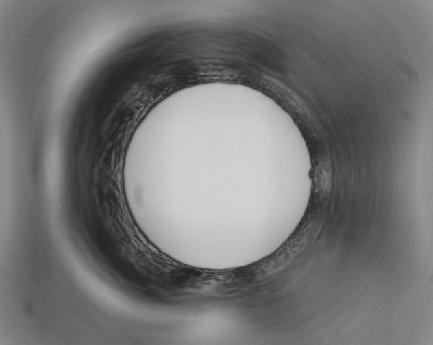 X0000113080764200909250949