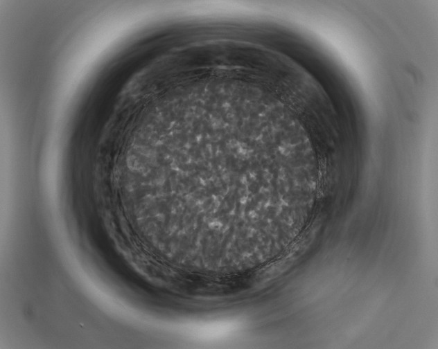 X0000113080765200909250949