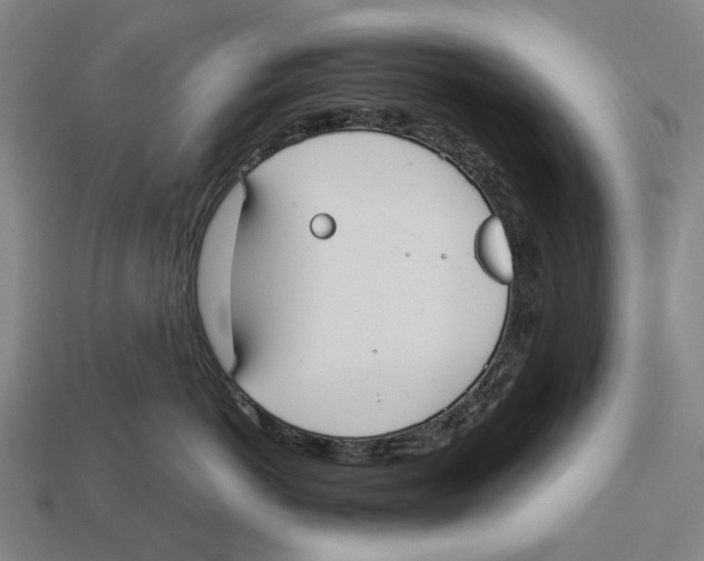 X0000113080766200909250949