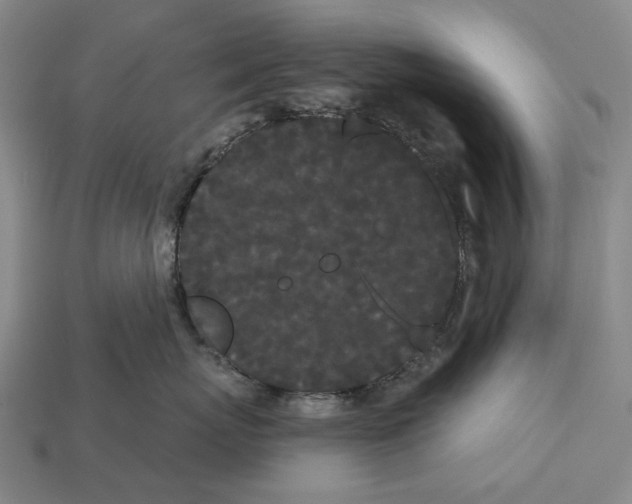 X0000113080767200909250949