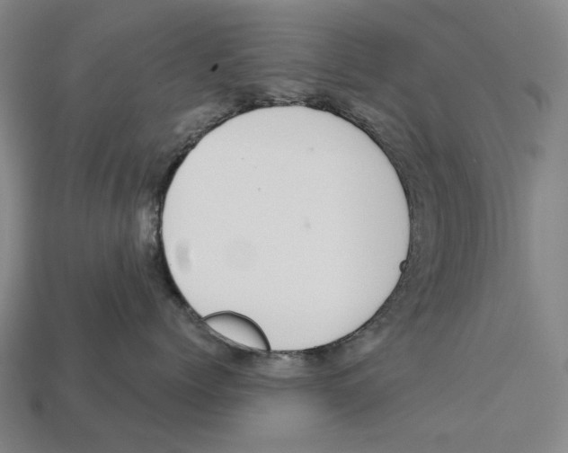 X0000113080768200909250949