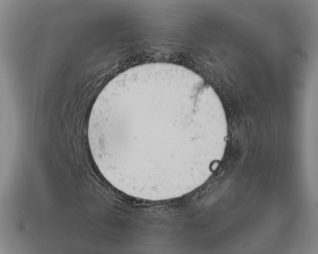 X0000113080769200909250949