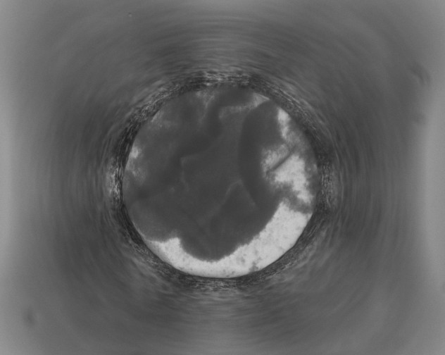 X0000113080770200909250949